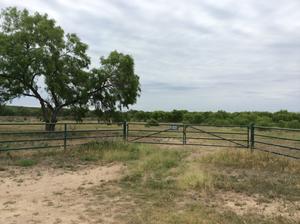 Medina 243 Ranch