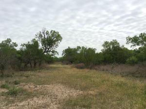 Yancey Ranch - 243 Acres